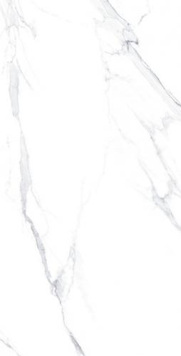 12YHA001-2