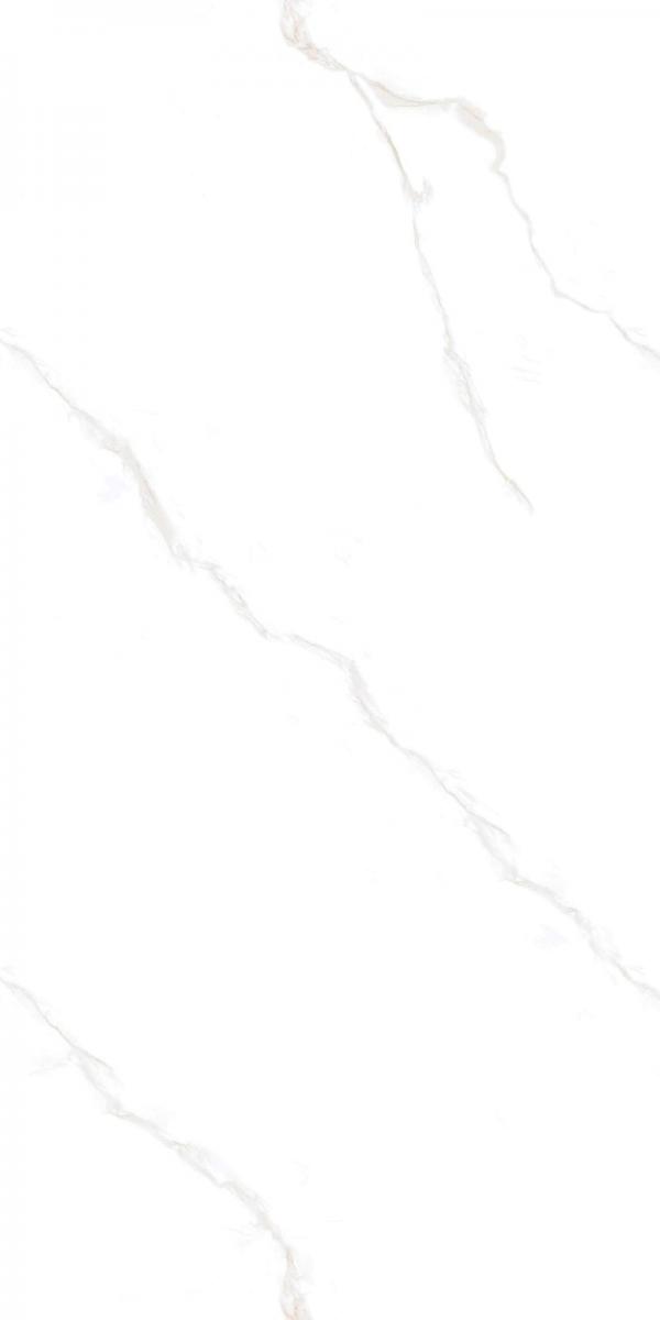 12YHA101-PL-02