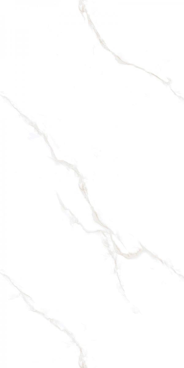 12YHA101-PL-04