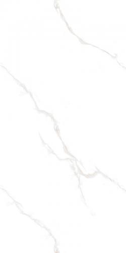 12YHA101-PL-04