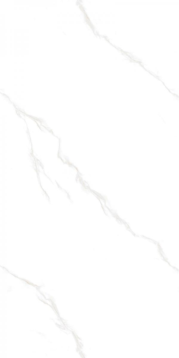 12YHA559PL